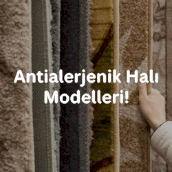 ANTİALERJENİK<br>MODELLER